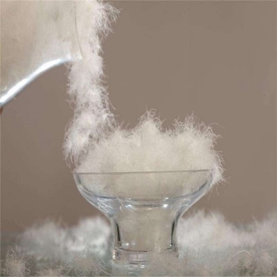 六安市海洋羽毛:做大皖西白鵝品牌,振興地方經濟發(fā)展