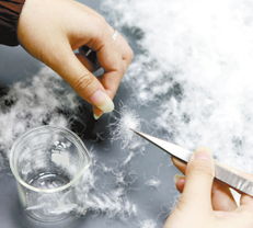 喜迎2013蕭山兩會(huì)譜寫(xiě)文明幸福新篇章