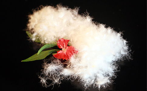 安徽羽絨加工生產(chǎn)廠家?guī)私饽壳笆袌? />
</span>
<span id=